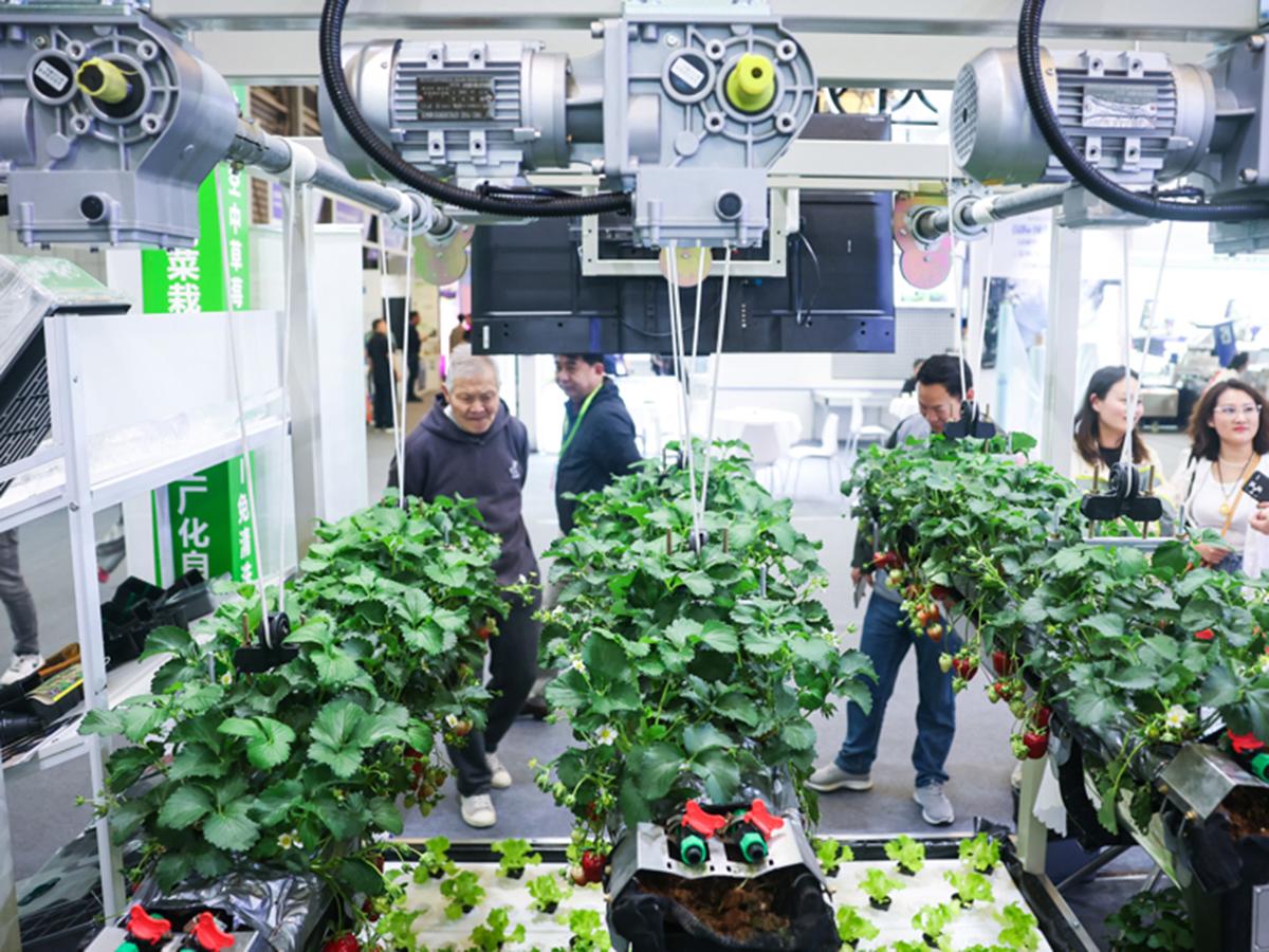 상해 AGTECH 농업기계 . 농업자재 박람회